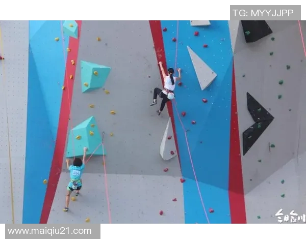 广州攀岩队技术探讨聚焦运动发展与攀岩技巧提升 广州攀岩队技术探讨聚焦运动发展与攀岩技巧提升