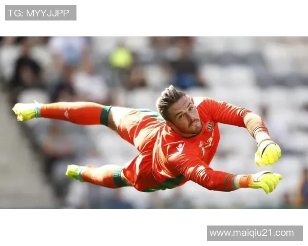 赵强倾情分享网球技巧与心得助你提升球技的独特经验与见解