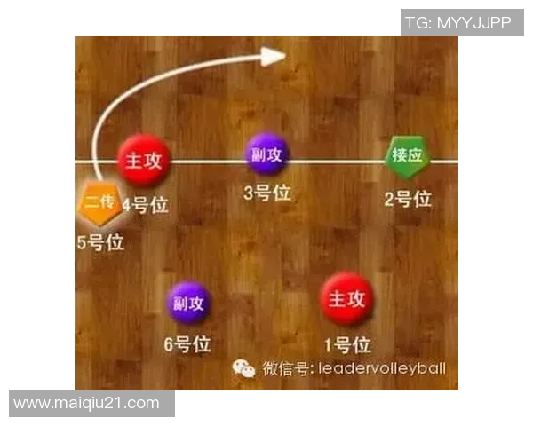 体育实时数据深入分析广州排球队快攻战术的秘密与技巧