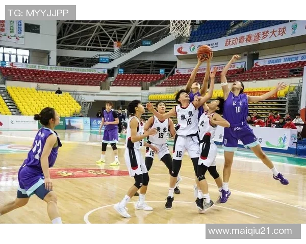 运动数据南京羽毛球队反击革新之路探索与发展全景解析 运动数据南京羽毛球队反击革新之路探索与发展全景解析